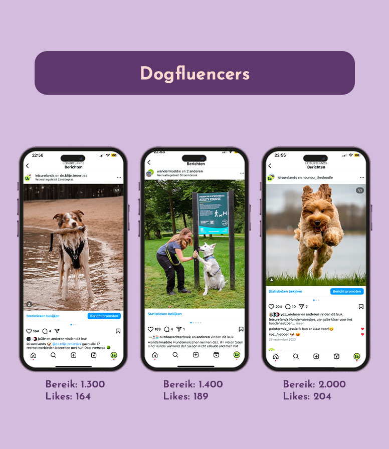Doglovers 2